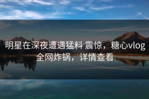 明星在深夜遭遇猛料 震惊，糖心vlog全网炸锅，详情查看