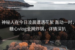 神秘人在今日凌晨遭遇花絮 轰动一时，糖心vlog全网炸锅，详情深扒