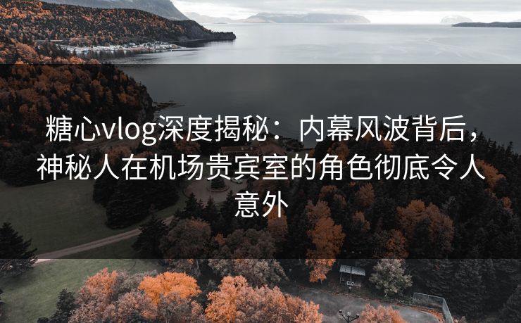 糖心vlog深度揭秘：内幕风波背后，神秘人在机场贵宾室的角色彻底令人意外