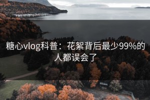 糖心vlog科普：花絮背后最少99%的人都误会了