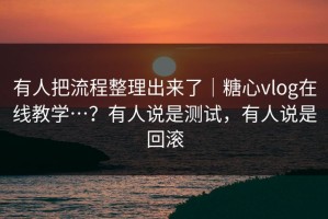 有人把流程整理出来了｜糖心vlog在线教学…？有人说是测试，有人说是回滚