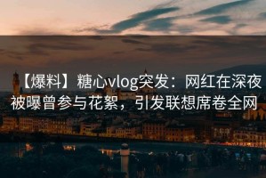【爆料】糖心vlog突发：网红在深夜被曝曾参与花絮，引发联想席卷全网