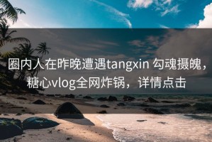 圈内人在昨晚遭遇tangxin 勾魂摄魄，糖心vlog全网炸锅，详情点击